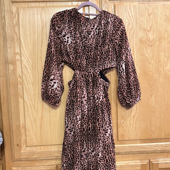 Ranna Gill Leopard Print Long Sleeve Dress - Picture 5 of 14